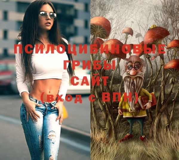 синтетический гашиш Зеленодольск