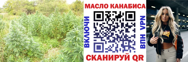 Дистиллят ТГК концентрат  ОМГ ОМГ сайт  Новочебоксарск 