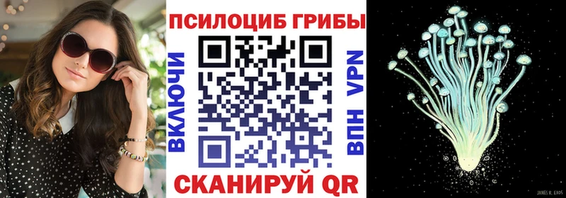 hydra купить закладку Новочебоксарск Галлюциногенные грибы Cubensis