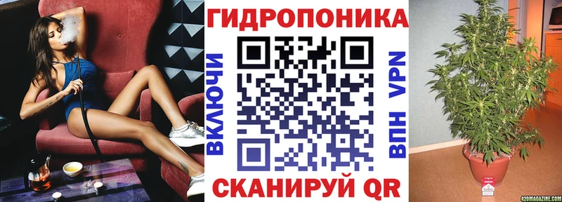 Канабис ГИДРОПОН  магазин  наркотиков  Новочебоксарск 